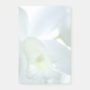 Suche nach orchideen post it Blume
