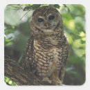 Suche nach stangen aufkleber Natur