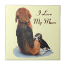 Suche nach jagdhundes untersetzer Welpen