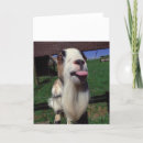 Suche nach cheeky karten Valentine