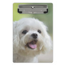 Suche nach schauen sie klemmbrett Haustiere