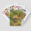 Suche nach wildlife spielkarten Grenze danita