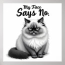 Suche nach katze lustig poster Für katzenliebhaber