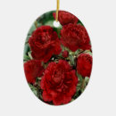 Suche nach nelke ornamente Natur