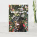 Suche nach spiegelei postkarten Weihnachtskarte