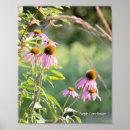 Suche nach sitz kunst Blume