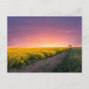 Suche nach rosa himmel postkarten Landschaft