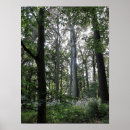 Suche nach sonnenlicht poster Holz