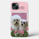 Suche nach bichons Haustiere