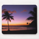 Suche nach hawaii strand Fotografie