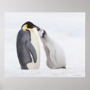 Suche nach waagerecht poster Tier