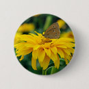 Suche nach schmetterlinge und motten buttons Blume