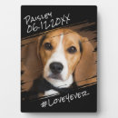 Suche nach chicen fotoplatten Modern