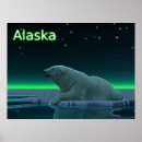 Suche nach arktischer bär poster Eis