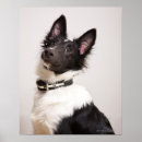 Suche nach portrait poster Vertikal