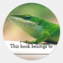 Suche nach lizard aufkleber Reptil