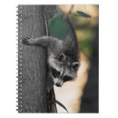 Suche nach waschbär kleine notizbücher Für kinder