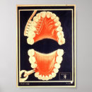 Suche nach zahnbürste poster Pinsel