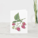 Suche nach himbeere karten Früchte