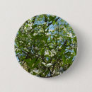 Suche nach zweig buttons Natur