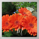 Suche nach orange monogramm poster Natur
