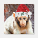 Suche nach primate magnete Niedlich