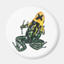 Suche nach regenwald magnete Frosch