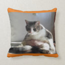 Suche nach katzen foto kissen Grau