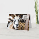 Suche nach ziegen karten Bauernhof