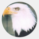 Suche nach weißkopfseeadler aufkleber Amerika