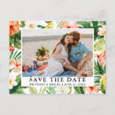 Suche nach korallen postkarten Foto