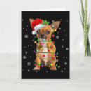 Suche nach chihuahua karten Weihnachtsmann