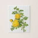 Suche nach gelbe blumen puzzle Botanik
