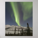 Suche nach vorhang poster Aurora
