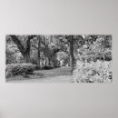 Suche nach spanisches moos poster Park