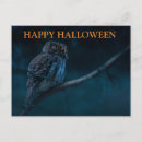 Suche nach halloween eule postkarten Gruselig