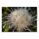 Suche nach stroh postkarten Herbst