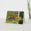 Suche nach pelargonie Natur