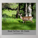 Suche nach schwarzer hirsch poster Tiere