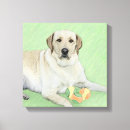 Suche nach weißer labrador retriever poster Welpe