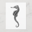 Suche nach meereswelt postkarten Ozeane