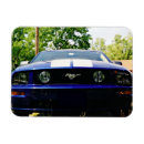 Suche nach muskel magnete Auto