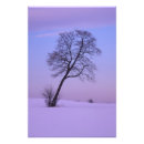 Suche nach einsamer baum poster Kalt
