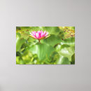 Suche nach rosa lilien leinwandbilder Natur
