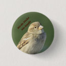 Suche nach spatzen buttons Vogelbeobachtung