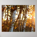 Suche nach 20x16 poster Wand