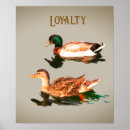 Suche nach loyalität poster Natur