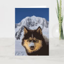 Suche nach sibirisch karten Husky