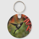 Suche nach kolibris schlüsselanhänger Niedlich