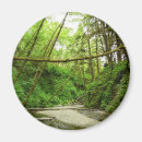 Suche nach farne magnete Natur